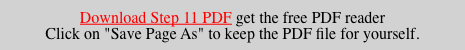 Download Step 11 PDF get