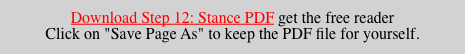 Download Step 12: Stance PDF